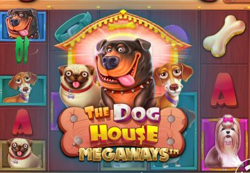 NOVOMATIC - игровой автомат онлайн от Various с RTP 95.63%
